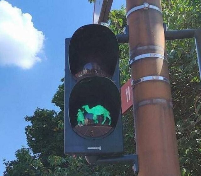 Намешалось 