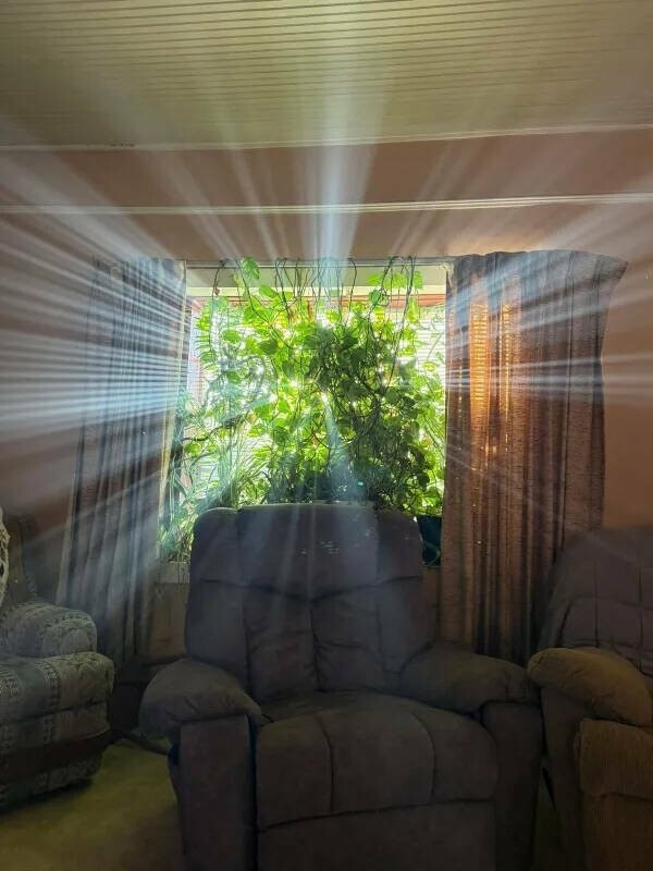 Намешалось 