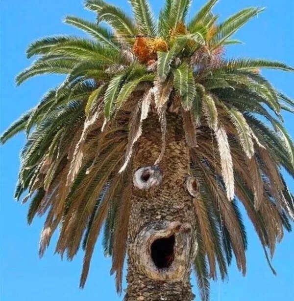 Намешалось 