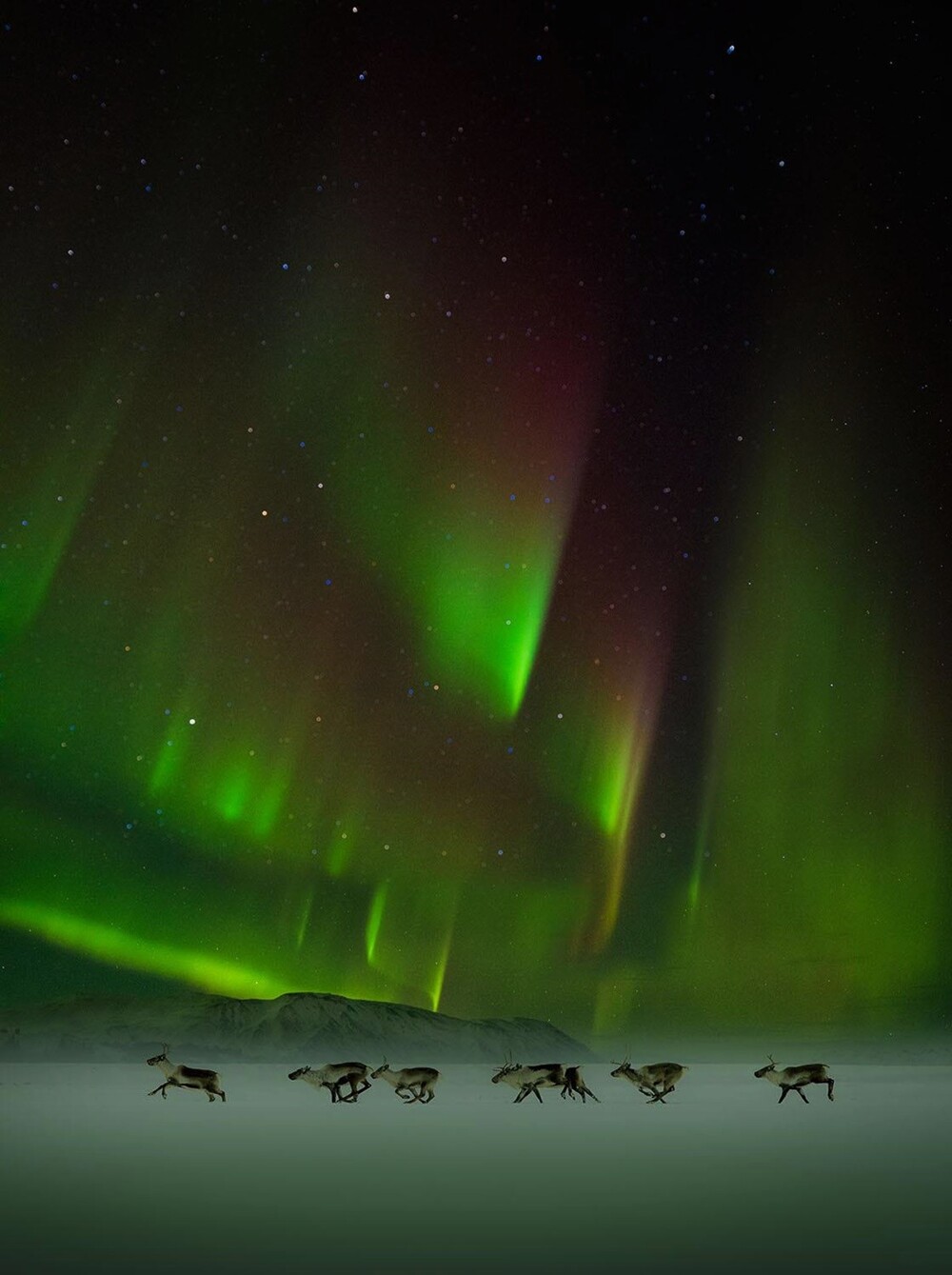 3. Навстречу сиянию