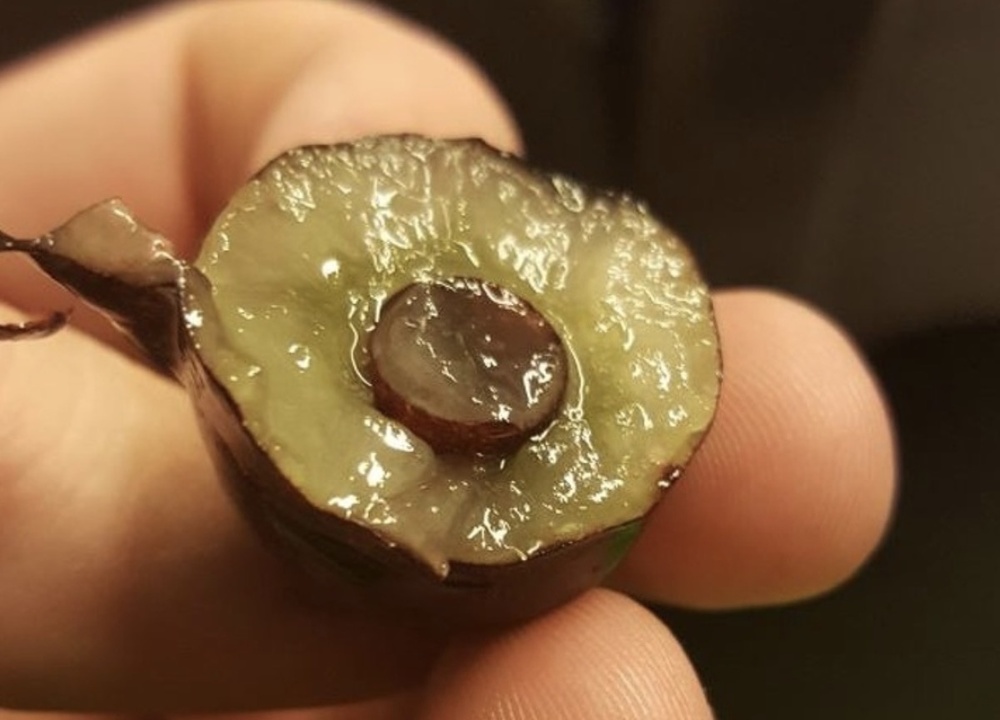 Вещи, которые люди нашли случайно