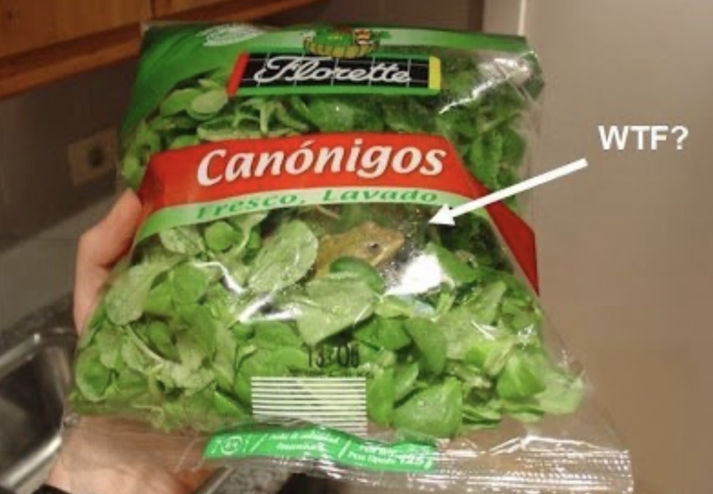 18. Живая лягушка внутри этой упаковки салата!