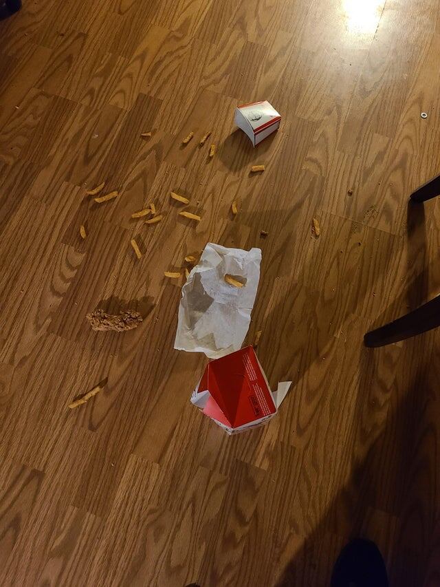 Вернулся домой после тяжёлого рабочего дня и тут же уронил свой ужин Вернулся домой после тяжёлого рабочего дня и тут же уронил свой ужин