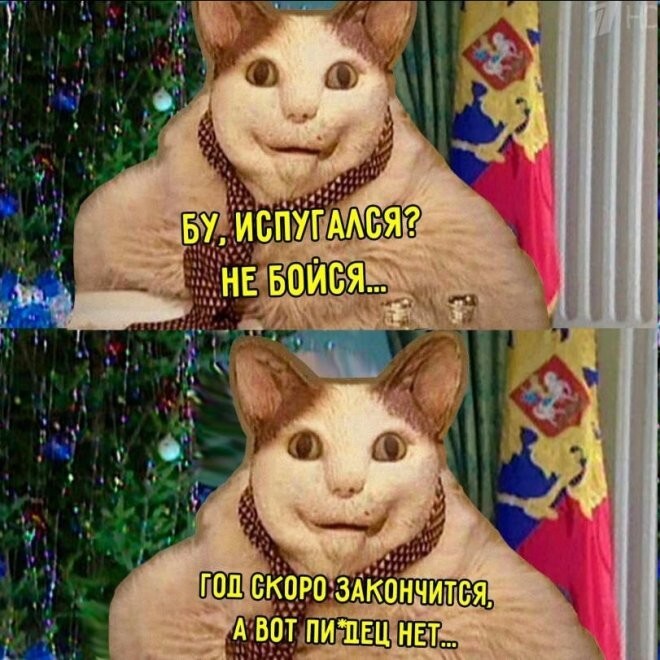 Смешные картинки