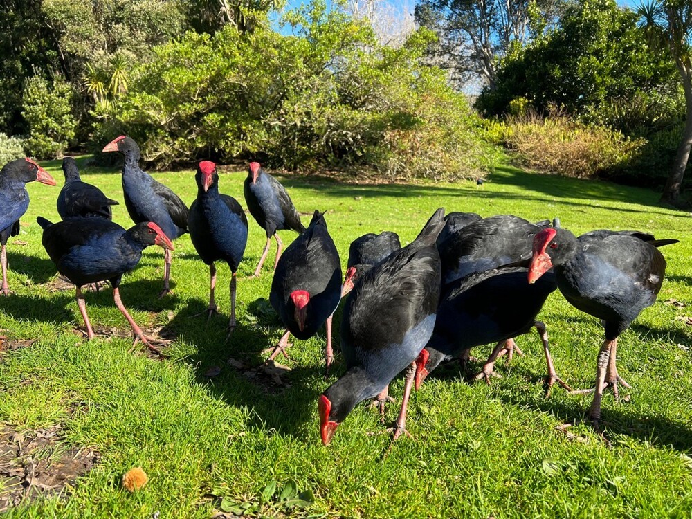 На общую тему 