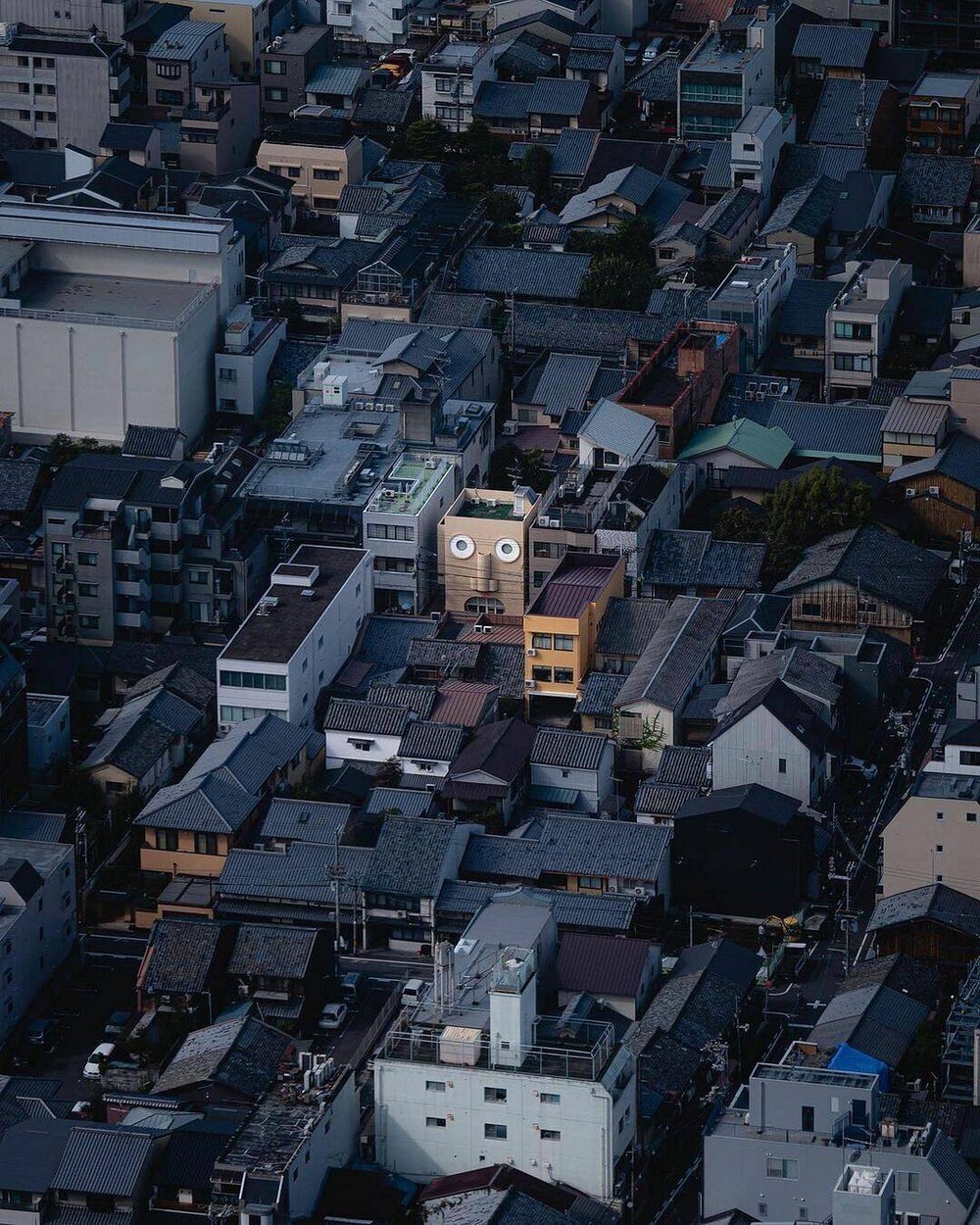 На общую тему 