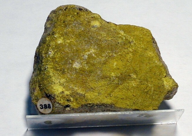 Уютная ловушка: как дом учёного превратился в вечный памятник эпохи радиевой лихорадки