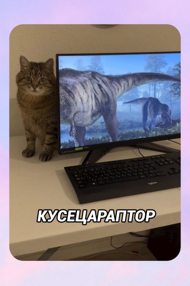 Скрины из соцсетей