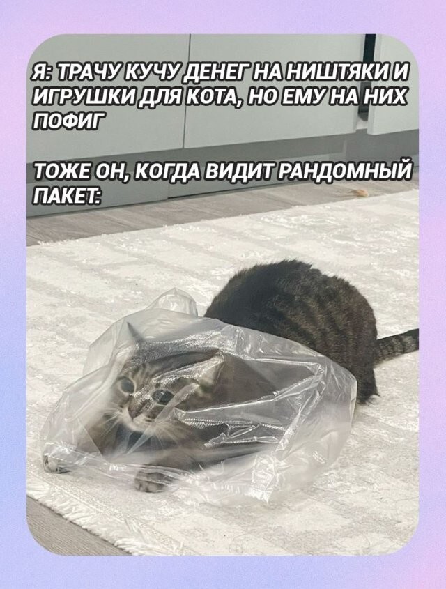 Скрины из соцсетей