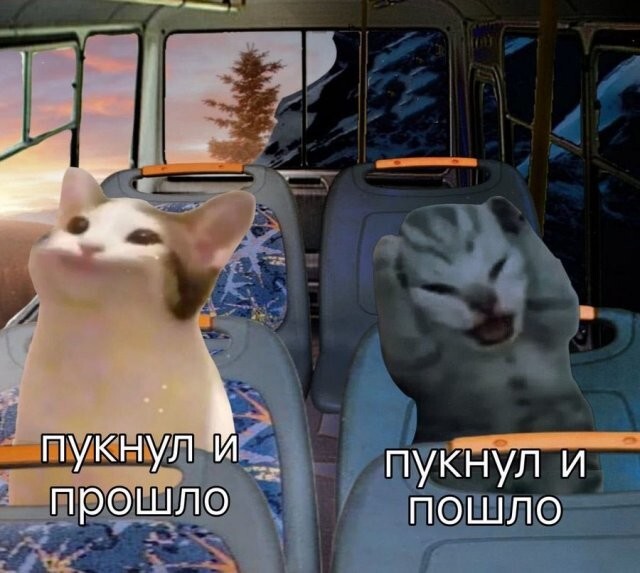 Скрины из соцсетей