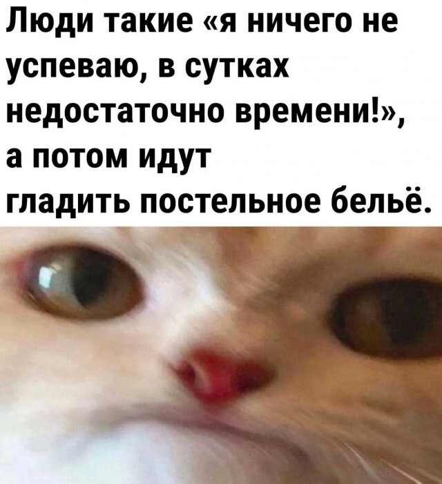 Скрины из соцсетей