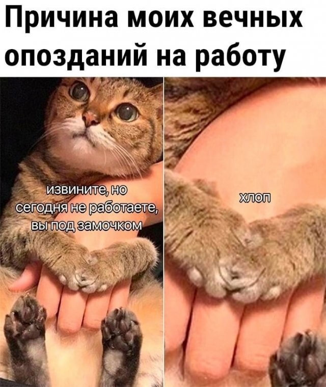 Скрины из соцсетей