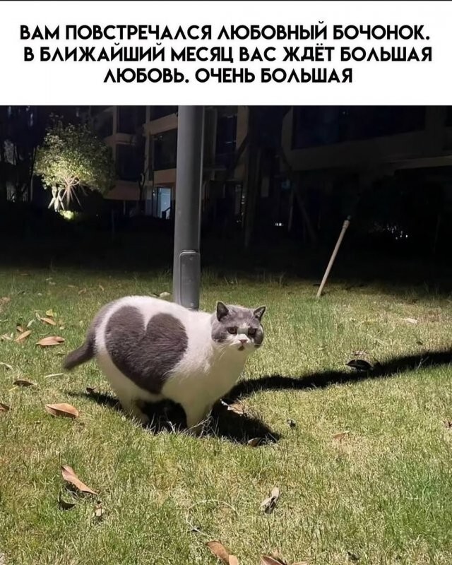 Скрины из соцсетей