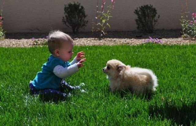  Намешалось 