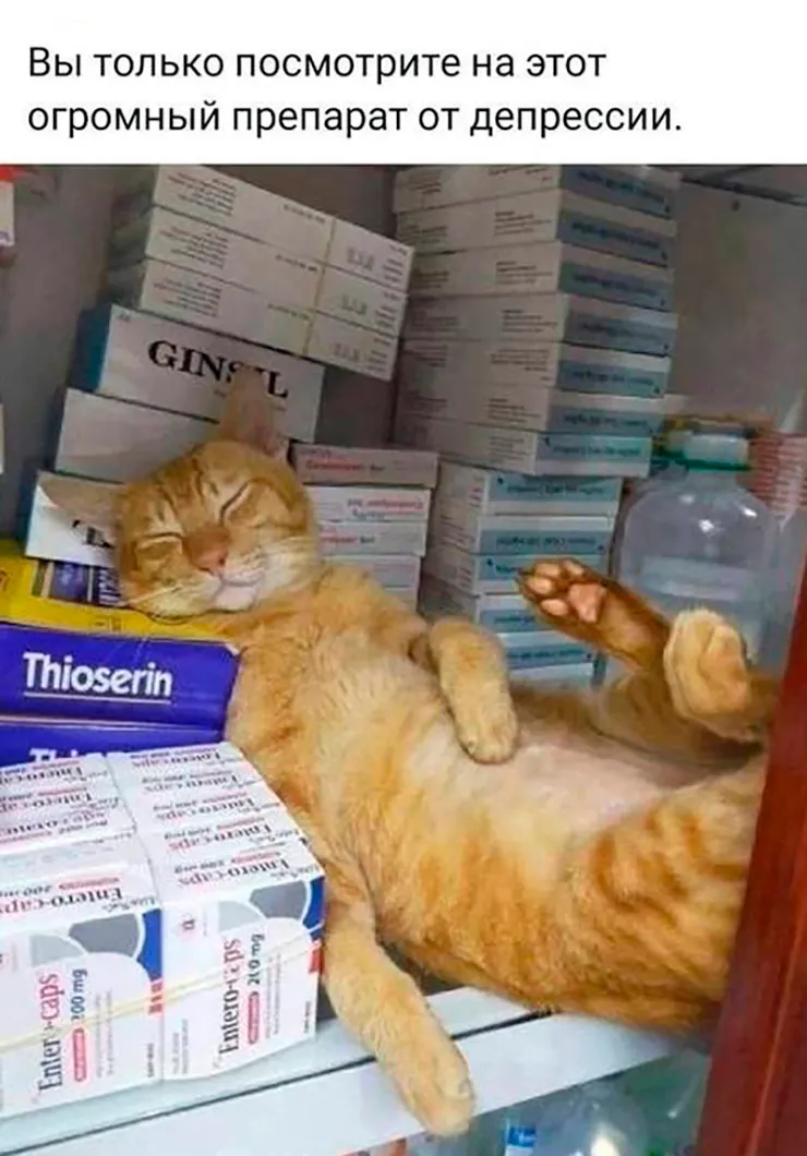 Не ищите здесь смысл. Здесь в основном маразм