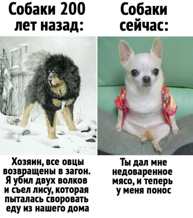 Не ищите здесь смысл. Здесь в основном маразм