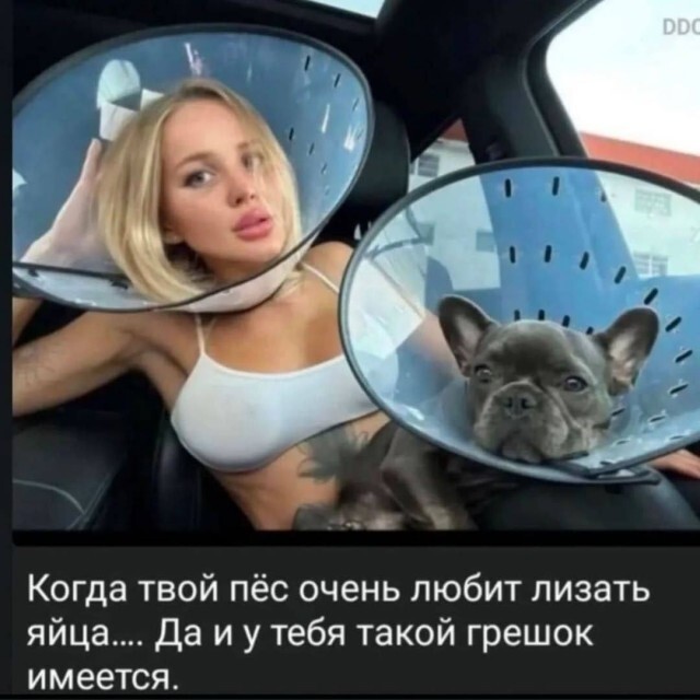 Не ищите здесь смысл. Здесь в основном маразм