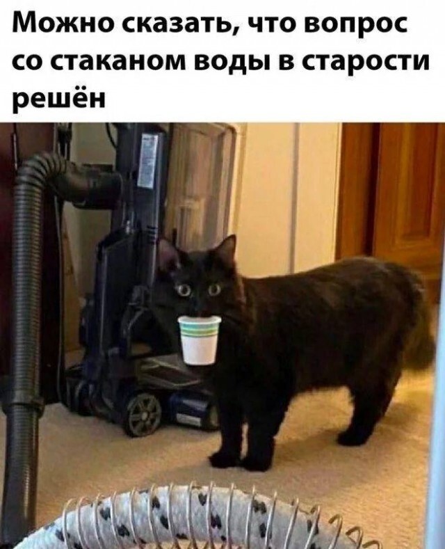 Не ищите здесь смысл. Здесь в основном маразм