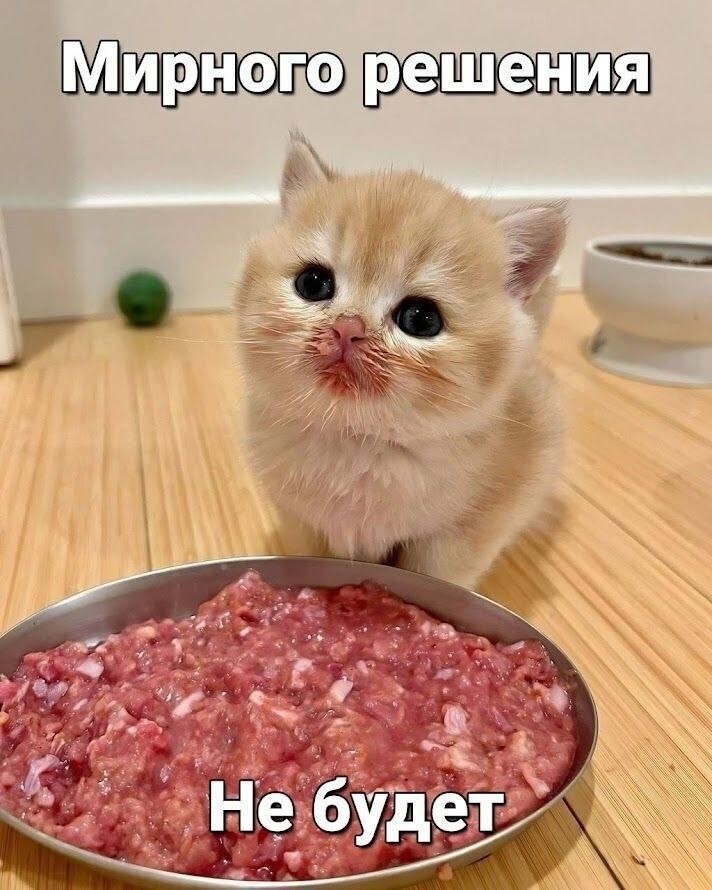 Не ищите здесь смысл. Здесь в основном маразм