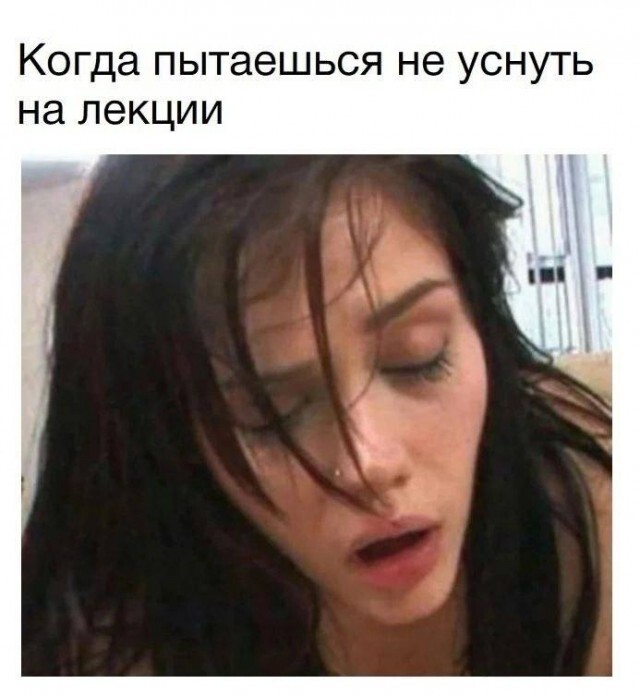 Не ищите здесь смысл. Здесь в основном маразм