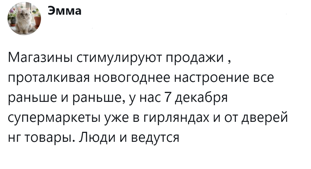 2. Новогоднее настроение, недорого! Налетай, покупай!