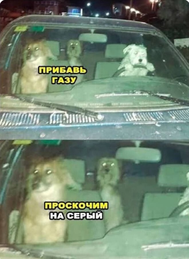 Смешные картинки