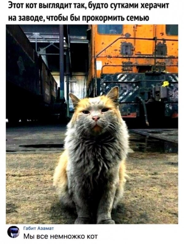 Смешные картинки