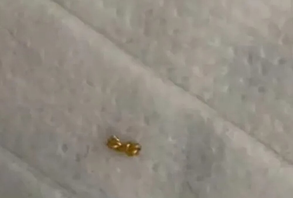 Мальчик разрезал мамино золотое ожерелье, чтобы раздать друзьям