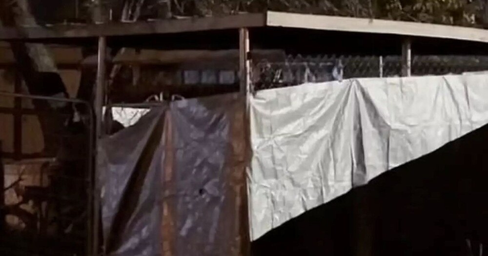 Американка держала приёмную дочь в собачьем вольере