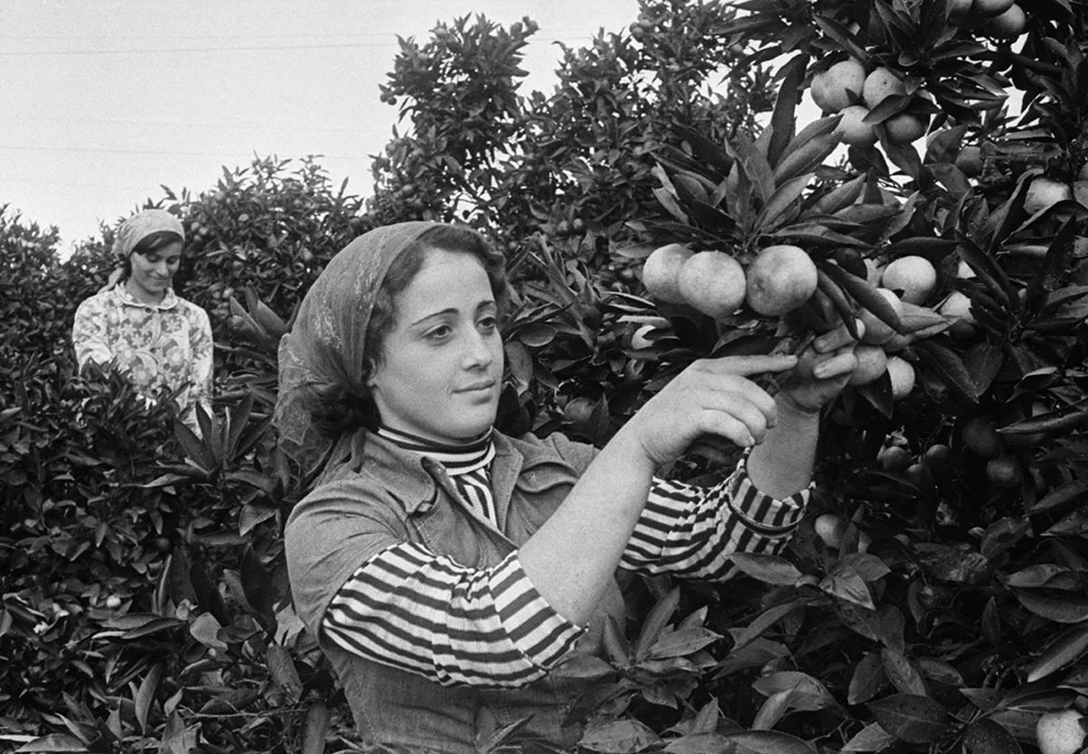 Почему Грузия так богато жила при СССР? Объясняю по-простому Почему Грузия так богато жила при СССР? Объясняю по-простому