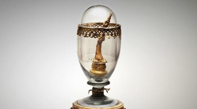 1. В 1797 году средний палец правой руки Галилео Галилея был удалён во время переноса его тела в мавзолей. Теперь он помещён в стеклянное яйцо и указывает на небо в Музее Галилея во Флоренции, Италия