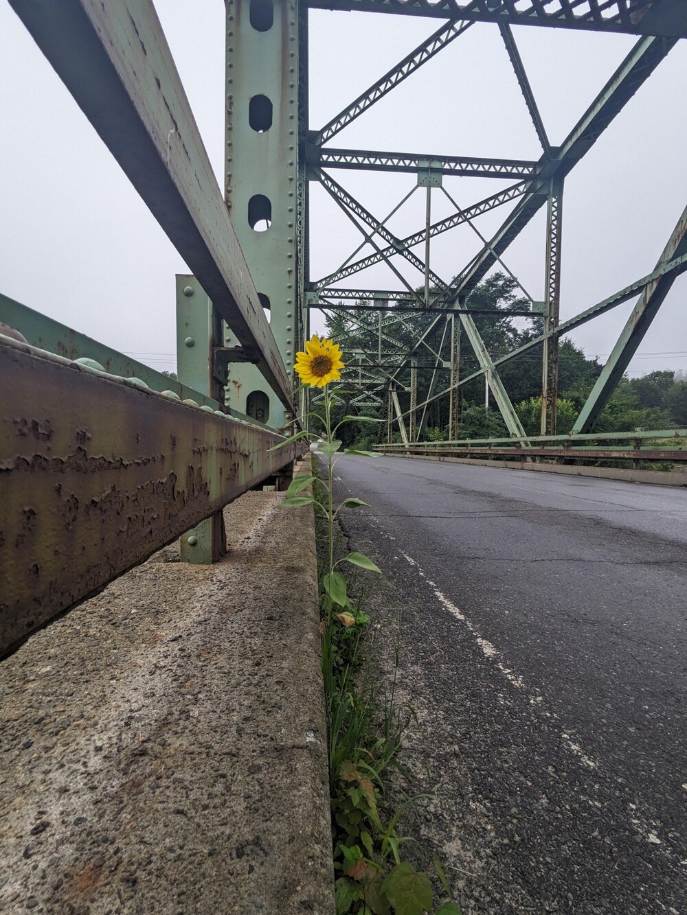 На общую тему 