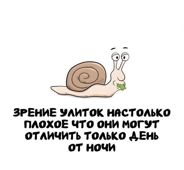 А вдруг ты не знал…