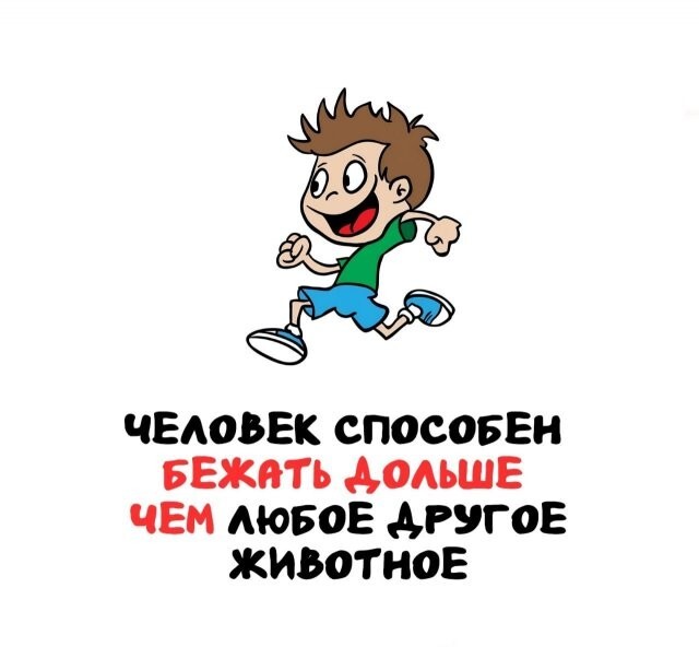 А вдруг ты не знал…