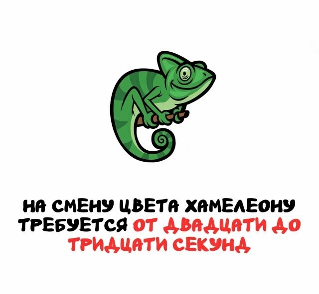 А вдруг ты не знал…