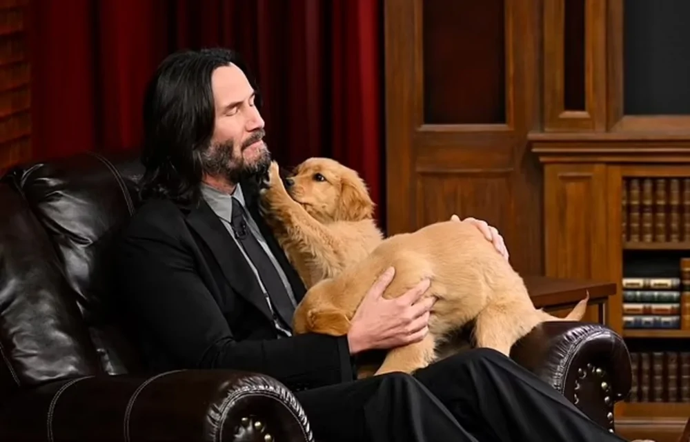 Киану Ривз открыл крупнейший в мире бесплатный приют для кошек и собак