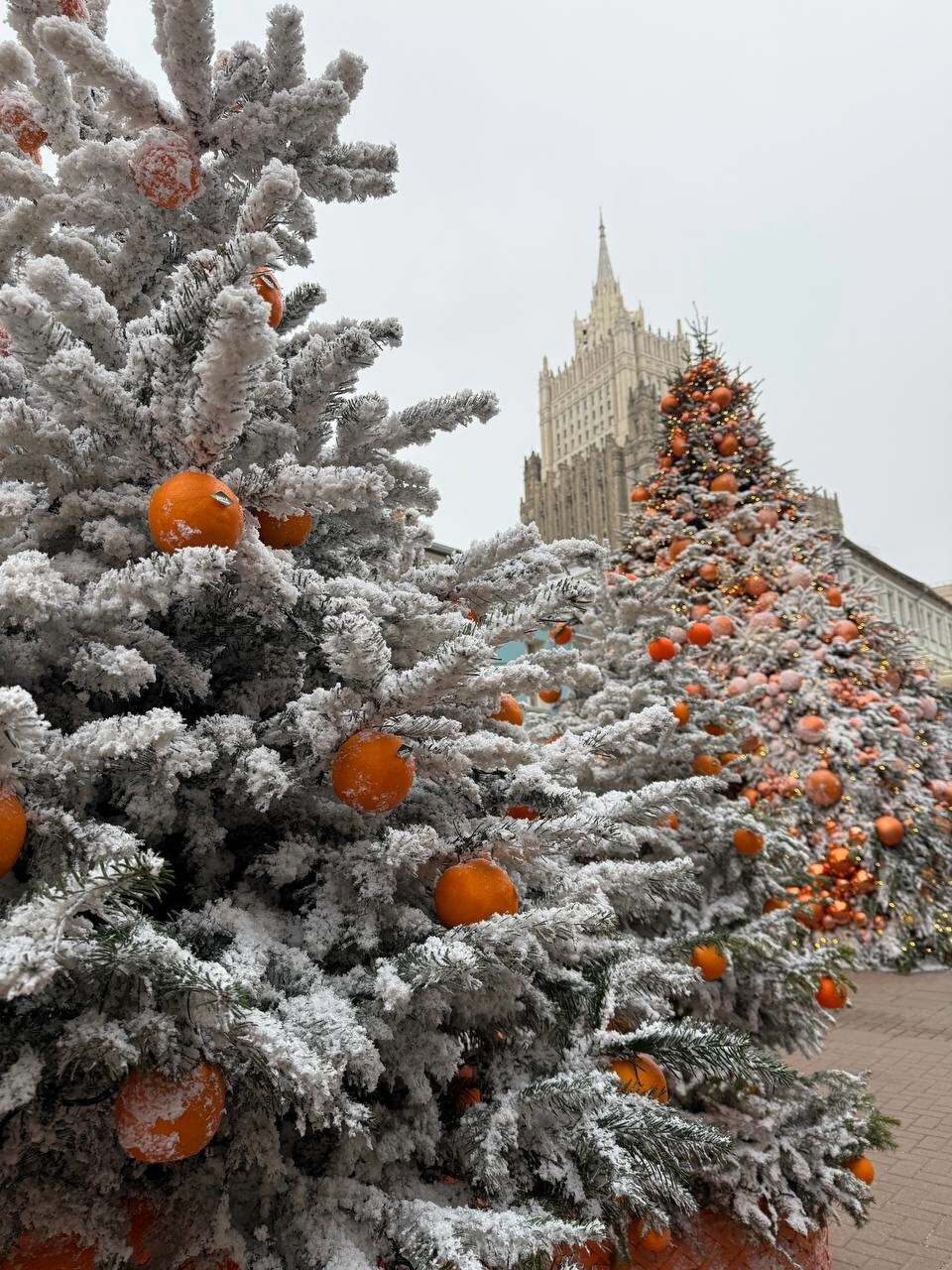 Москва и мандарины. Как вам Старый Арбат?
