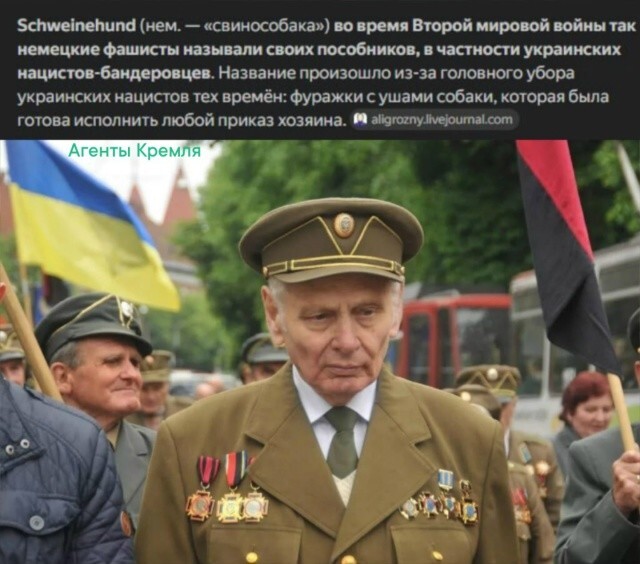 То швайнехунд, то штахельшвайне... Обзывают чубатых европейцы и в хвост и в гриву, а они и рады служить своим европейским хозяевам. Рабское племя, без достоинства и чести
