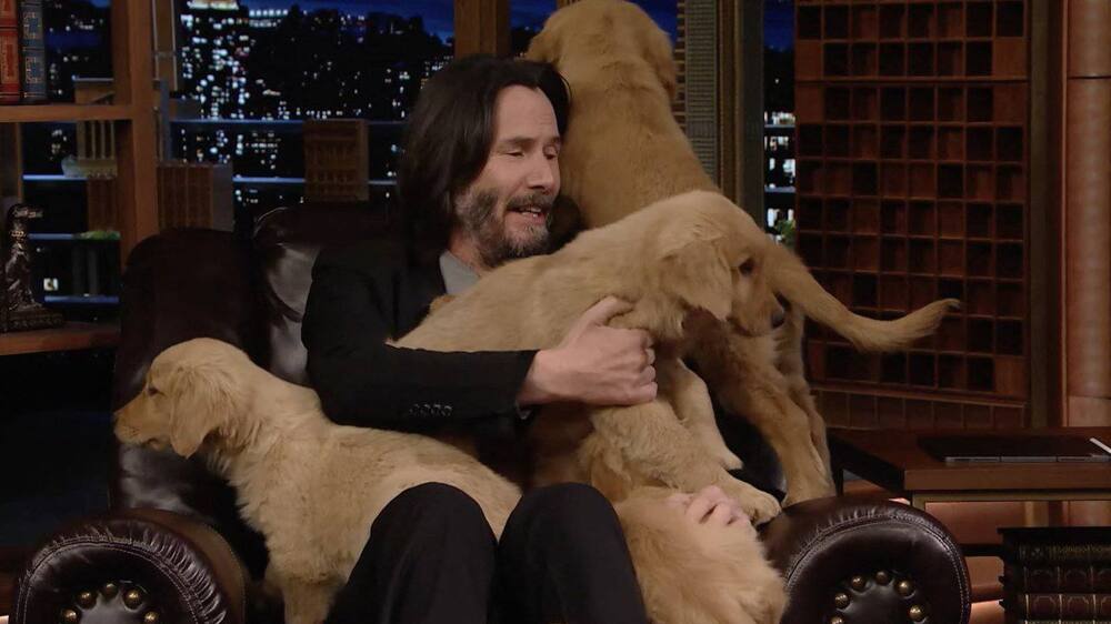 Киану Ривз открыл крупнейший в мире бесплатный приют для кошек и собак