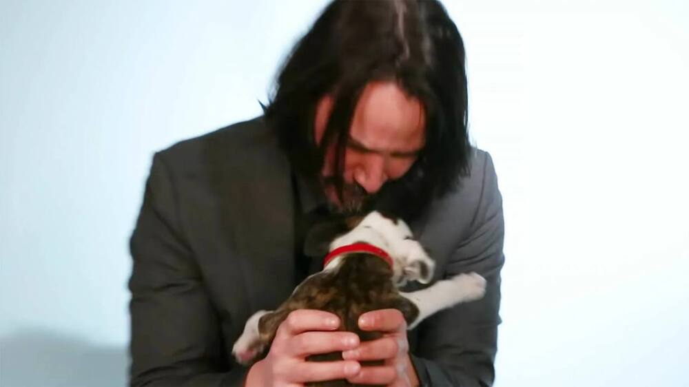 Киану Ривз открыл крупнейший в мире бесплатный приют для кошек и собак