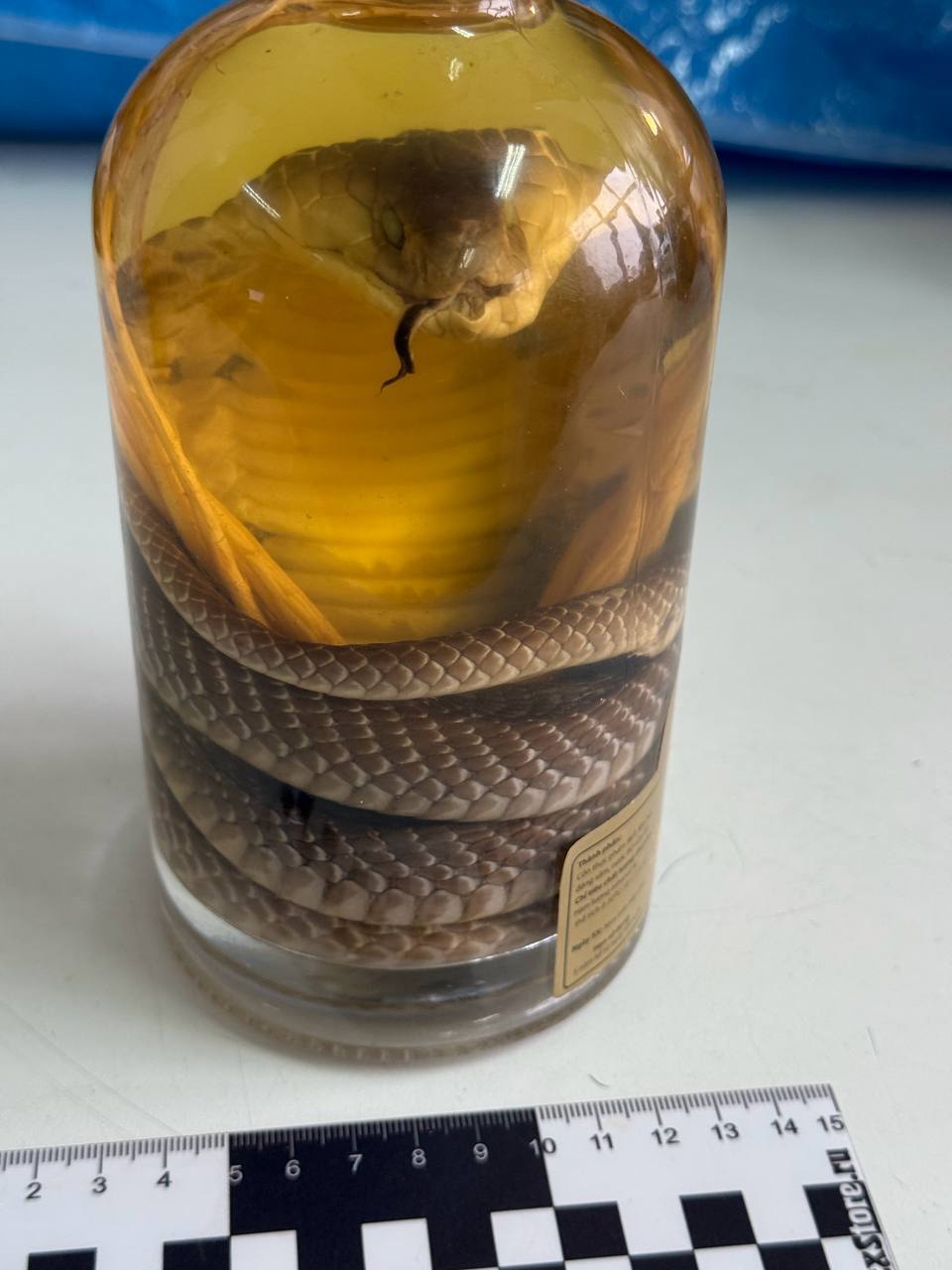 Россиянка попыталась ввезти из Вьетнама вино с настоящей коброй внутри