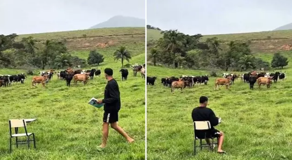 Перекличка на пастбище