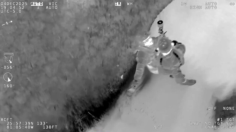 Отец с сыном застряли на болотах, кишащих аллигаторами