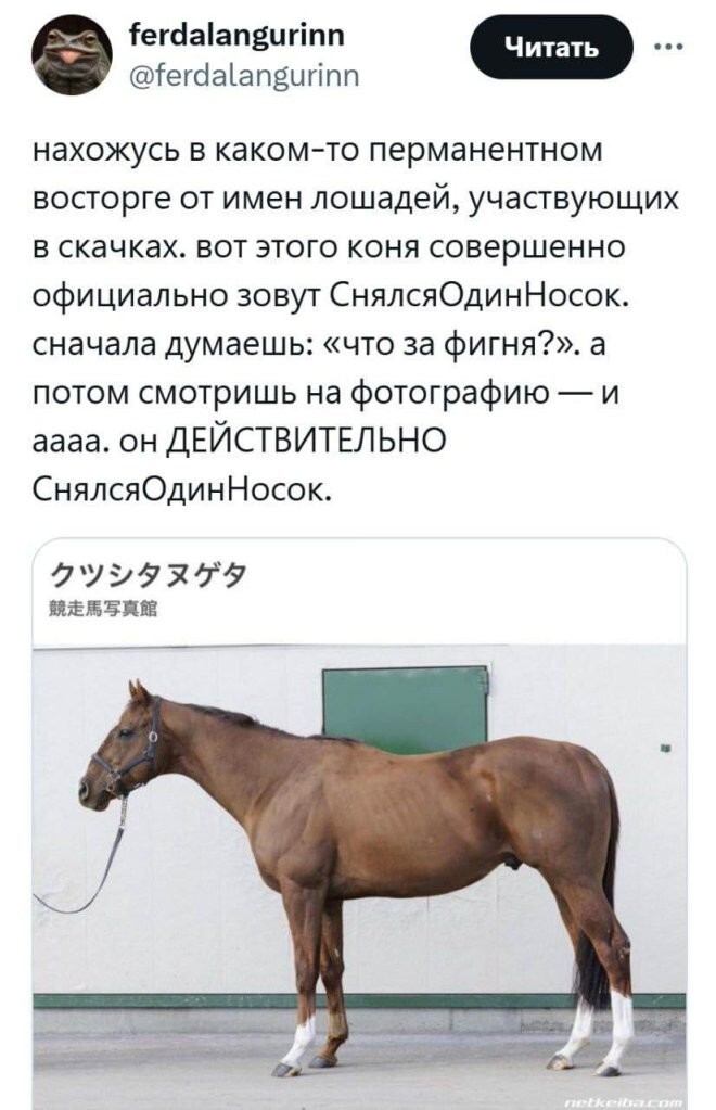 Смешные картинки