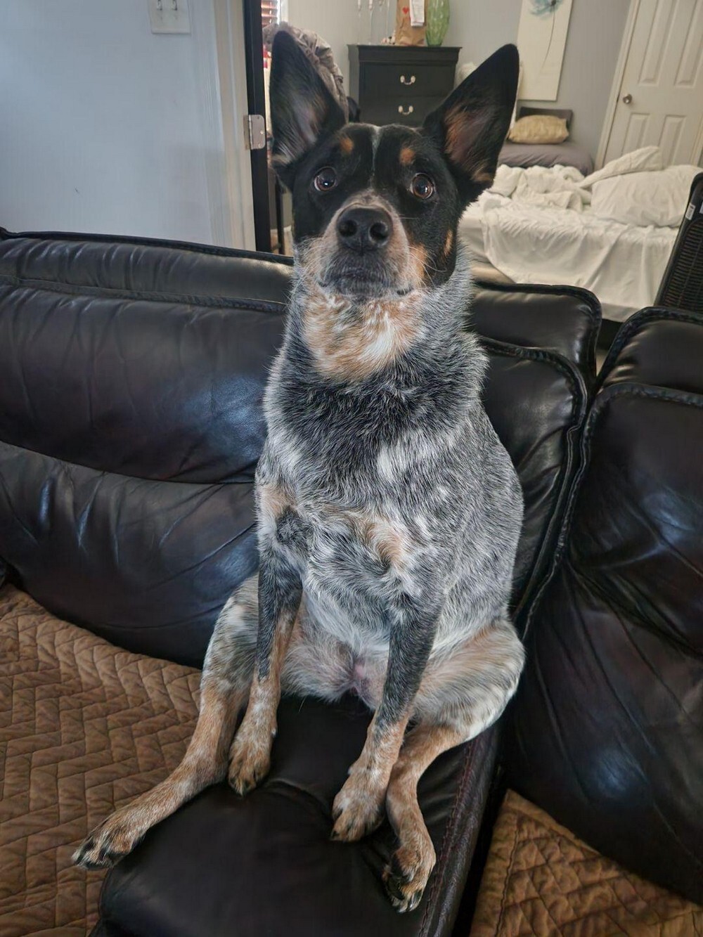 На общую тему 