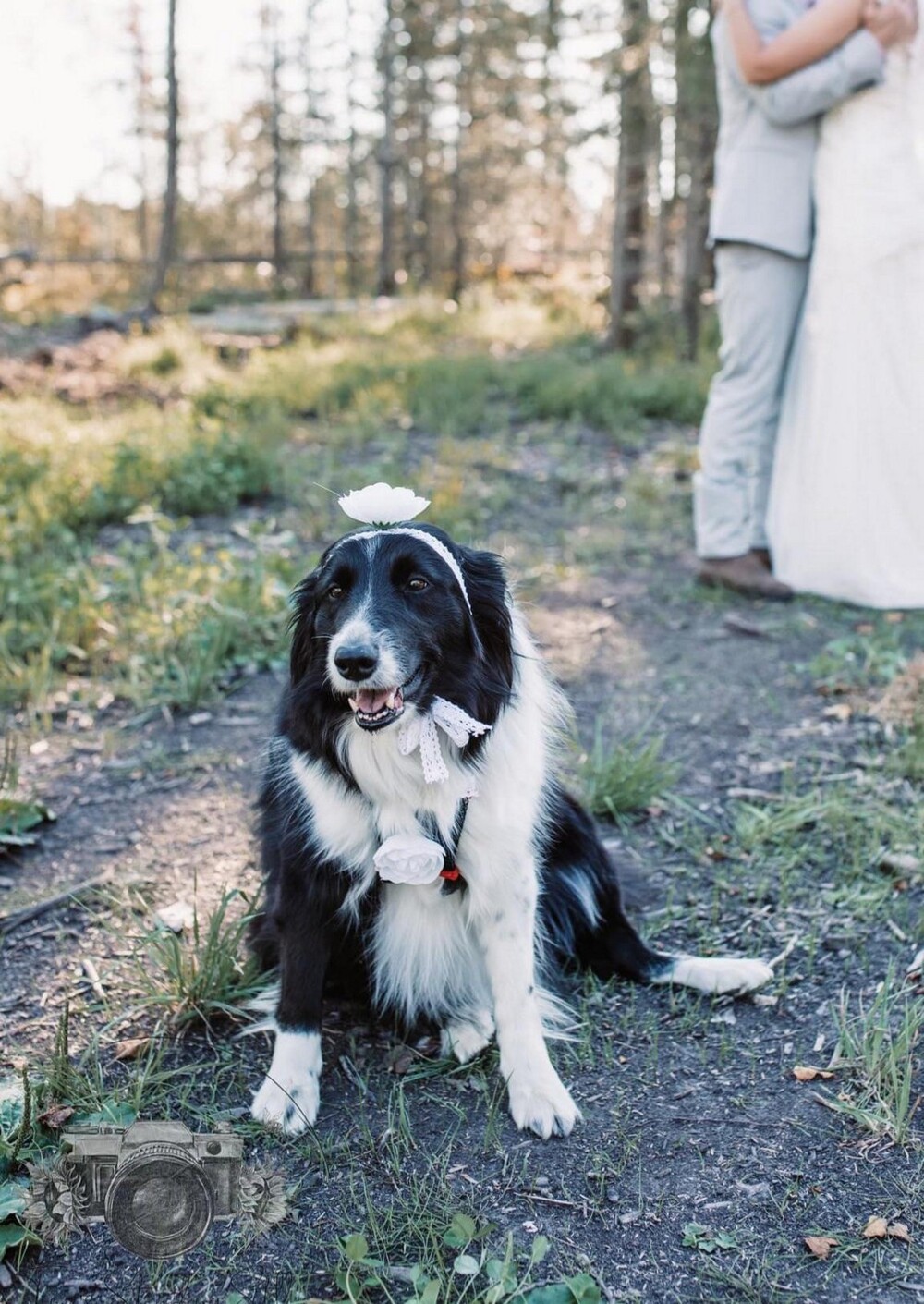 На общую тему 