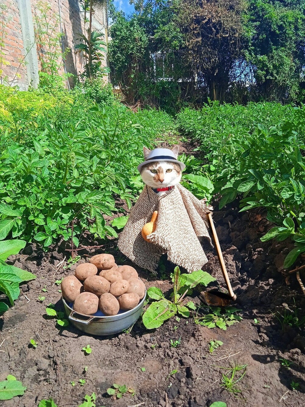 На общую тему 