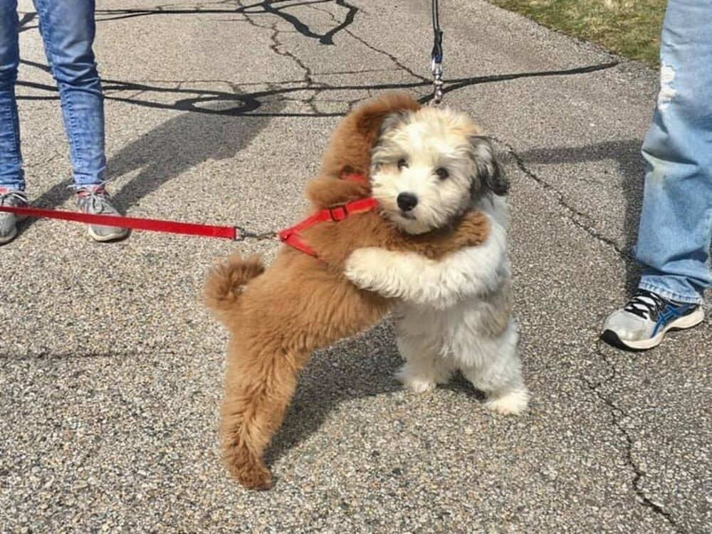 На общую тему 