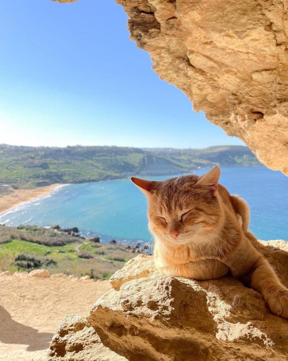 На общую тему 