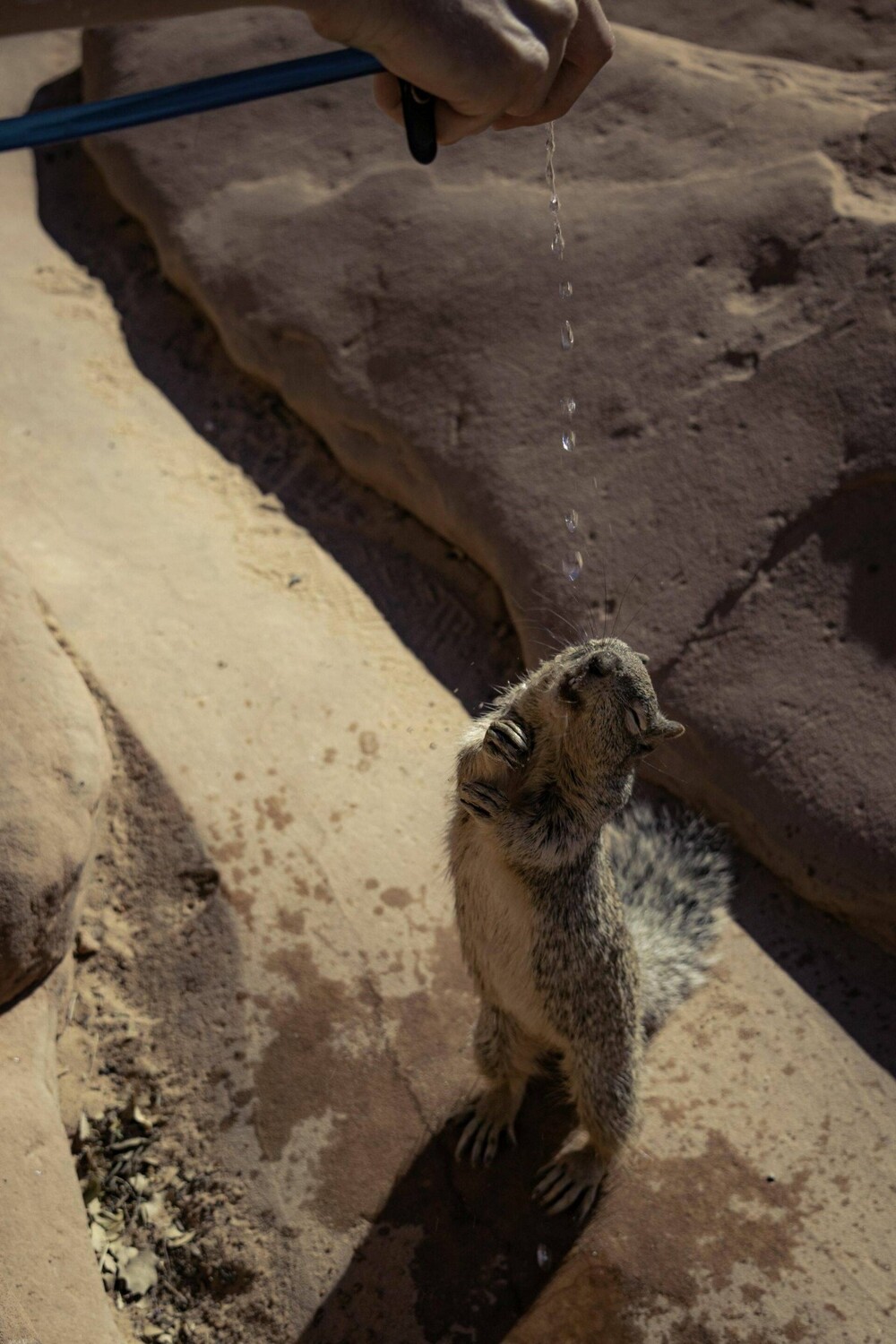 На общую тему 